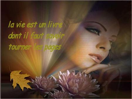 la vie..